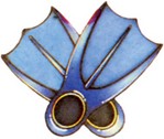 b-zoras-flippers.jpg