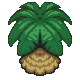 FSA_Palm_Tree.png