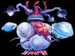 Filename=barinade.jpg
Filesize=21KB
Dimensions=400x300
Date added=Mar 14, 2004 barinade.jpg