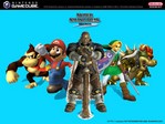 ssbm02.jpg