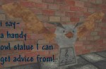 owl screenshot.jpg