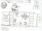 Pirates_ Fortress.jpg