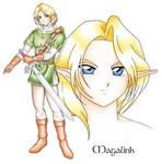 Link-himelian.jpg