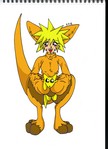kangaroo girl.JPG