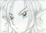 Linkpencil0002.jpg