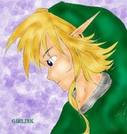 clrprolink.jpg