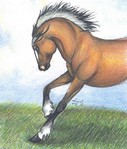 Wild Epona.jpg