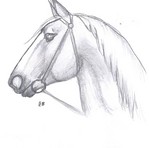 epona.jpg