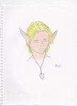 link_necklace_2.jpg