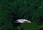 The_blade_rests....jpg