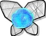 Navi.jpg