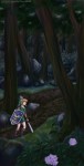 lostwoods_sm.jpg