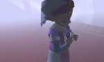 010.jpg